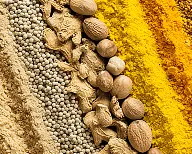 メインスライダー